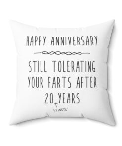 20 Year Anniversary Gift for Him Her Husband or Wife Funny Anniversary Throw Pillow 3