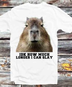 Idk How Much Longer I Can Slay Capybara Meme Funny T-shirt