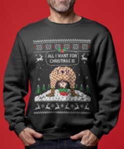 All I Want For Christmas Is You Ugliest Sweaters For Christmass