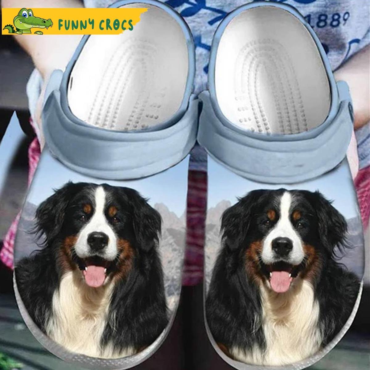 Crocs Bernese Mountain Dog Shoes