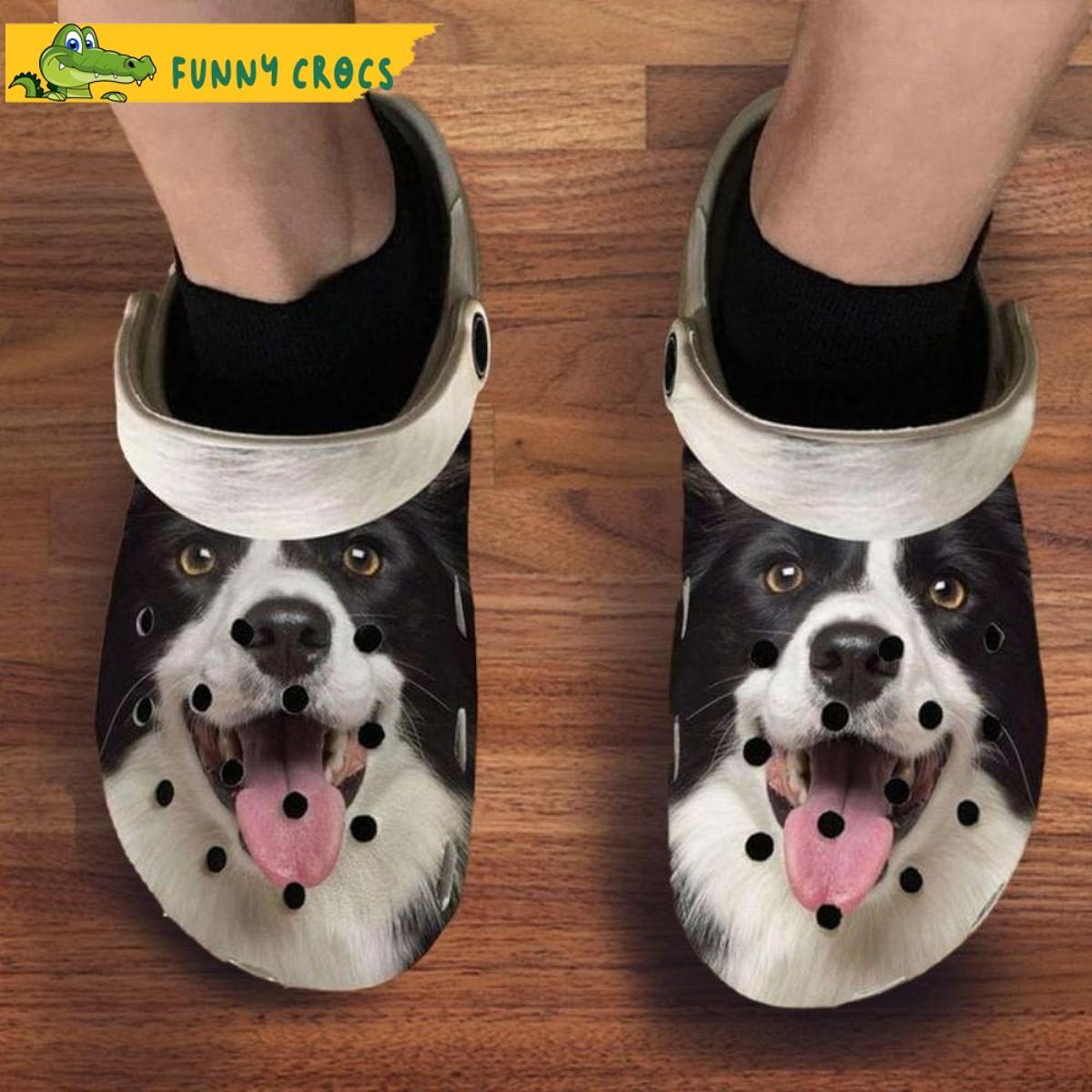 Border Collies Pattern Crocs