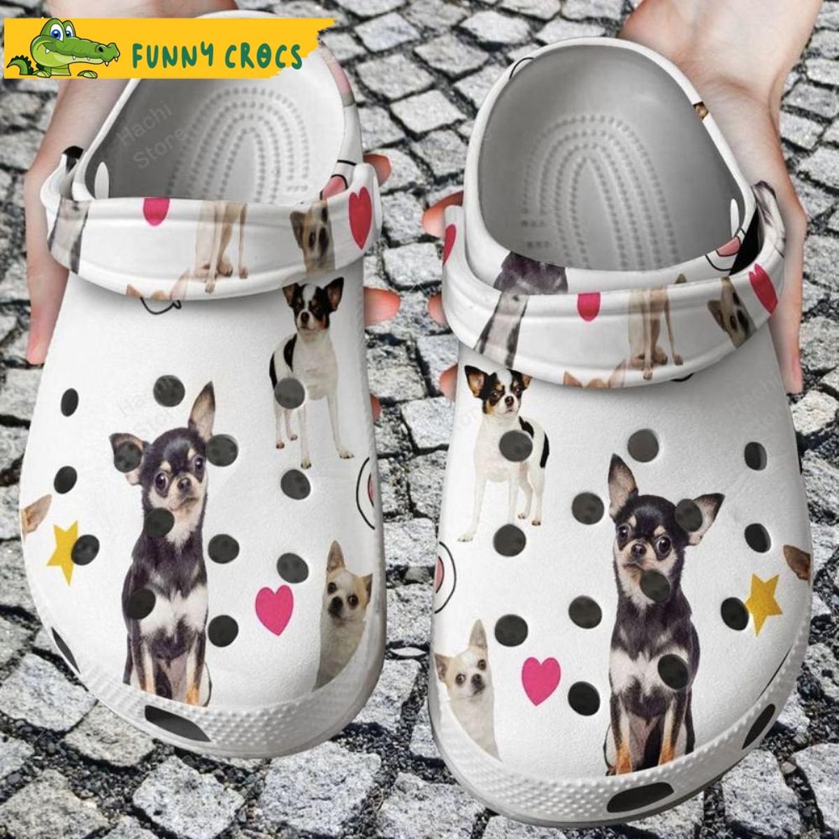 Chihuahua Puppy Flower Dog Crocs Sandals