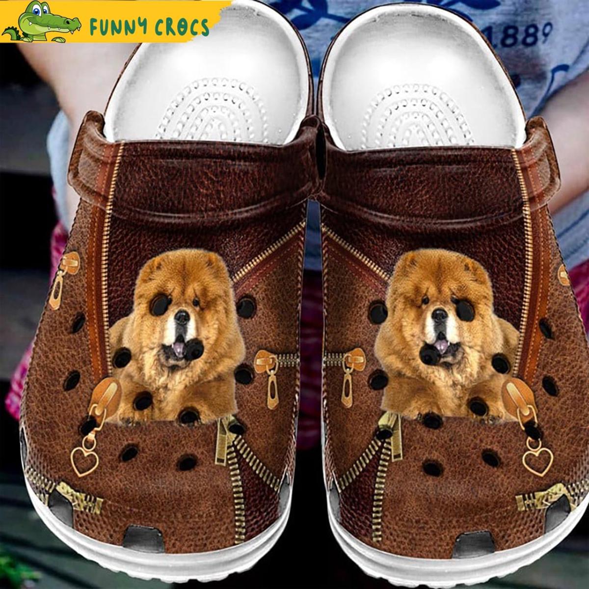 Happy Chow Chow Cute Dog In Crocs Shoes