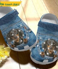 Dachshund Puppy In Jeans Dog Crocs Clog