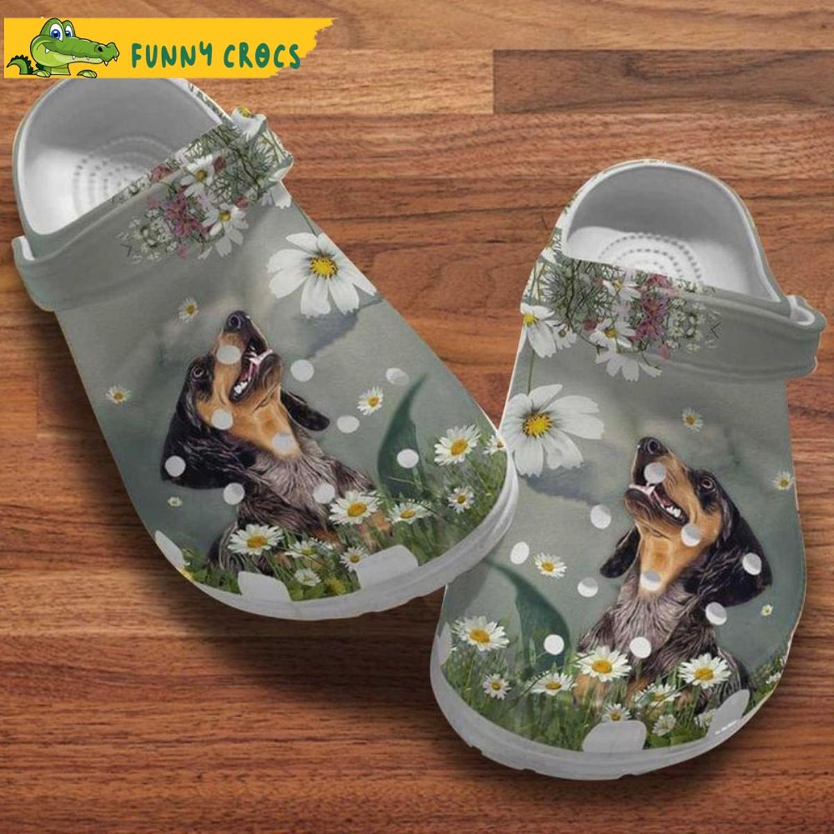 Dachshund Puppy In Jeans Dog Crocs Clog