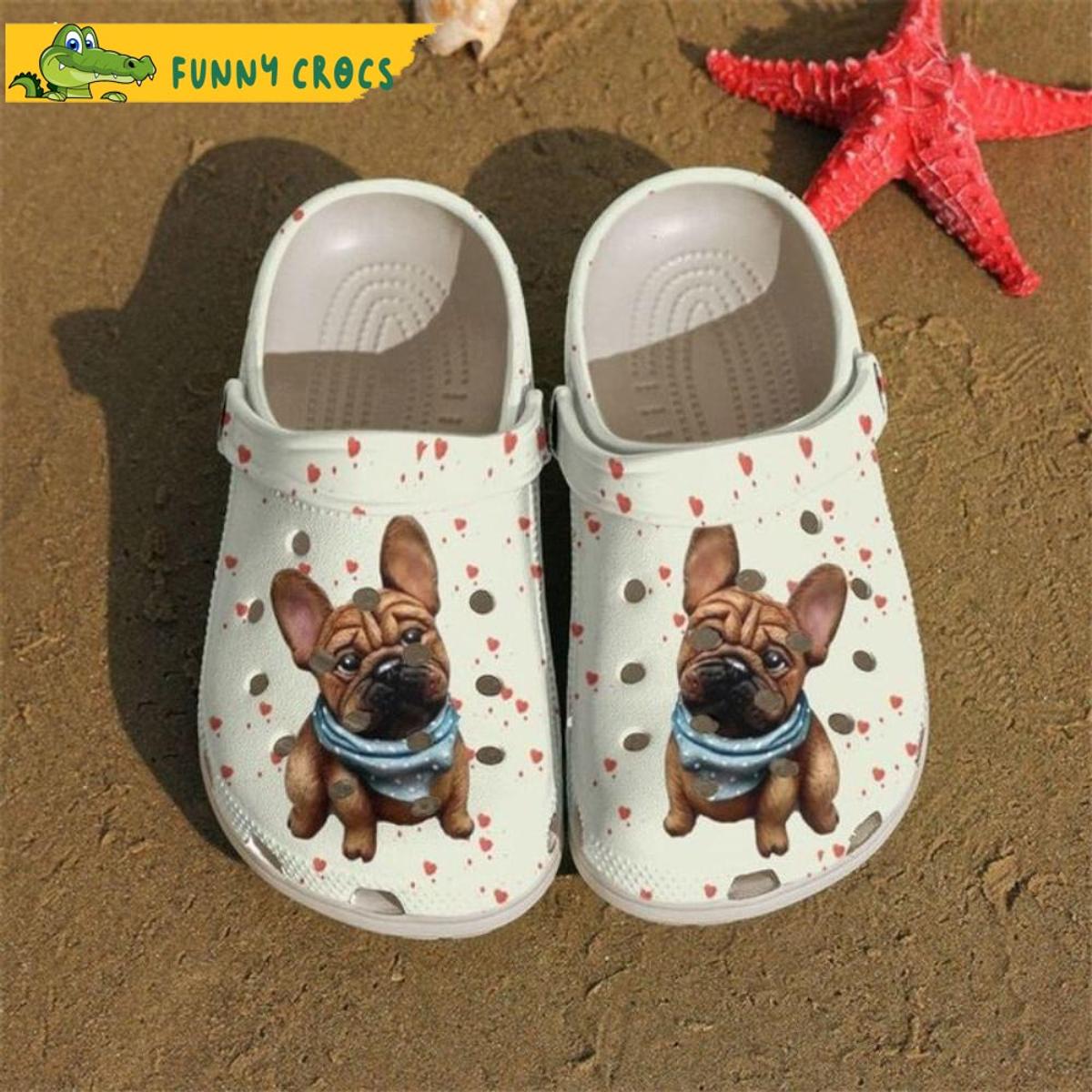 French Bulldog Hello Winter Dog In Crocs Clog Shoes