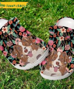 Funny Border Collie Puppy With Pink Flower Crocs