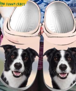 Funny Face Border Collie Crocs