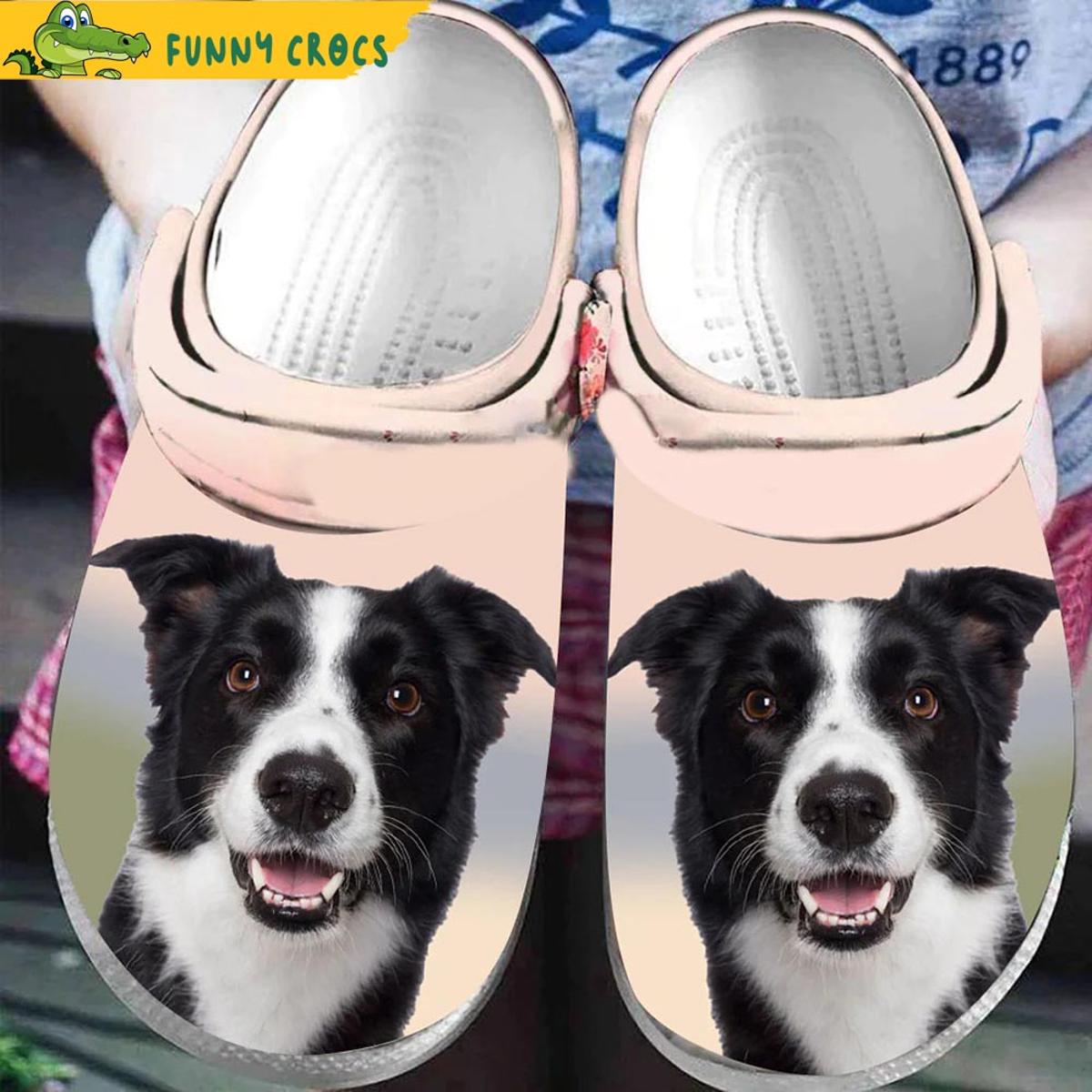 Vintage Border Collie Crocs Clog Shoes