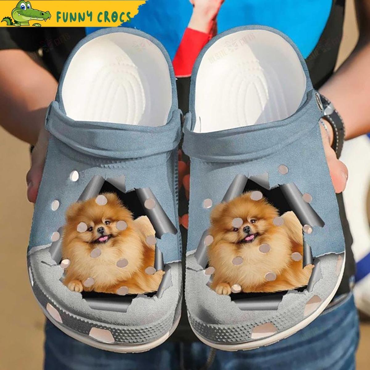 Personalized Pomerania Crocs Shoes