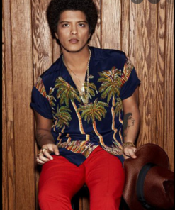 Bruno Mars Midnight Palm Vintage Hawaiian Shirt