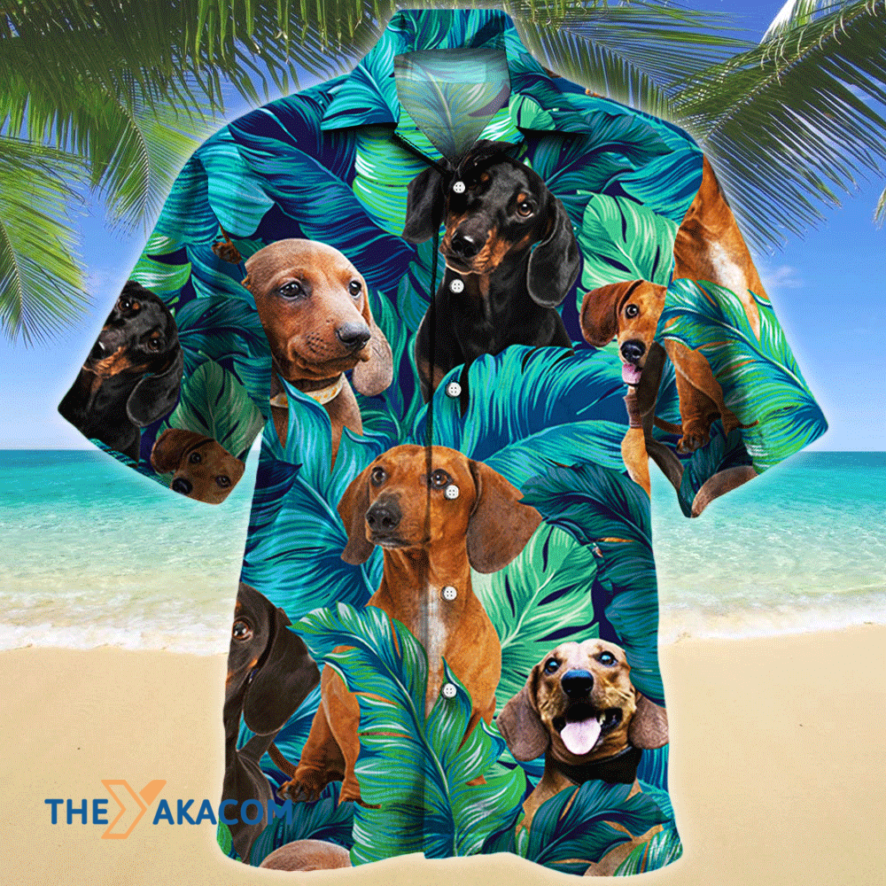 Posture Colorfull Dachshund Hawaiian Shirt Outfit For Men