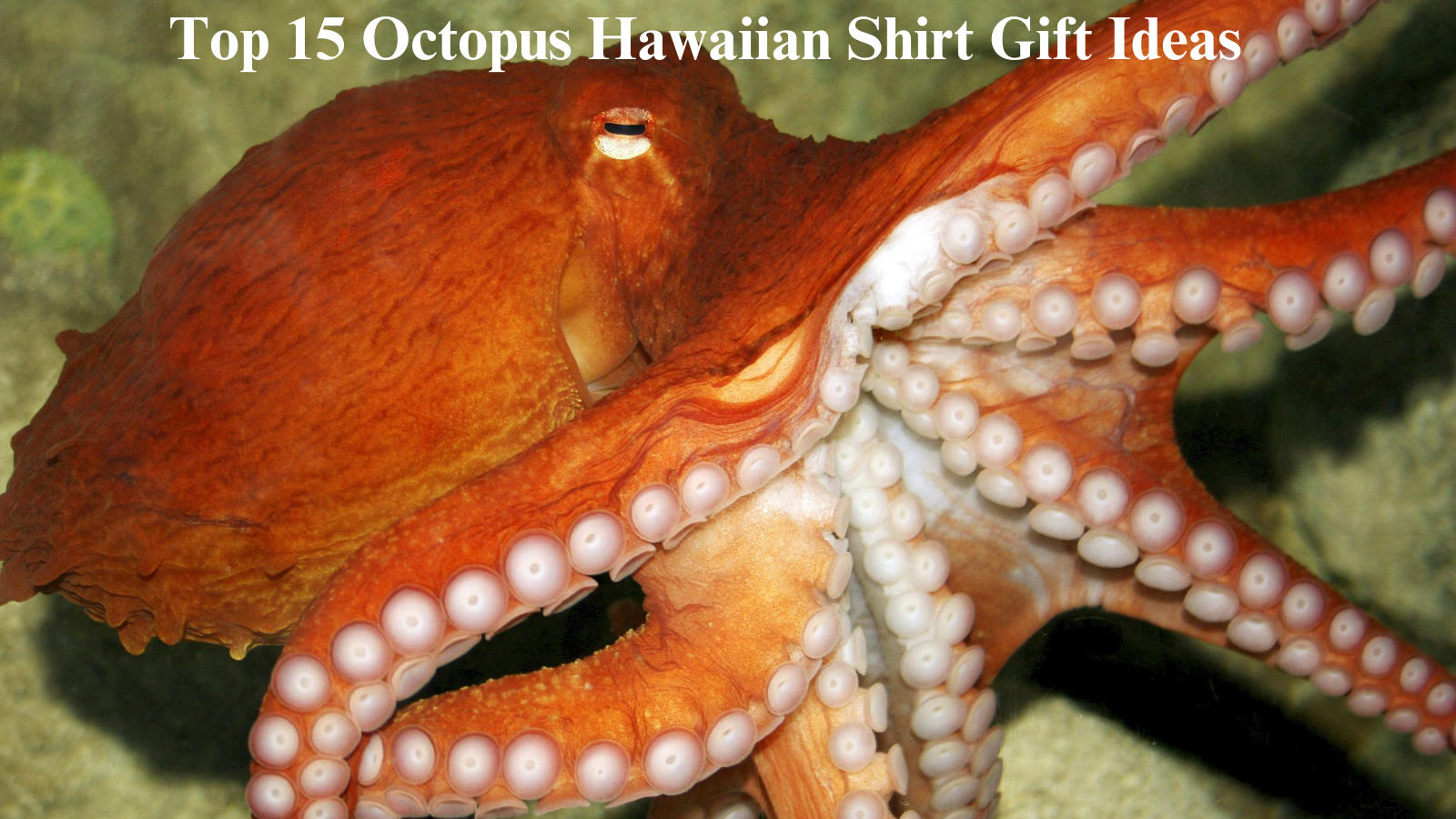 Top 15 Octopus Hawaiian Shirt Gift Ideas   