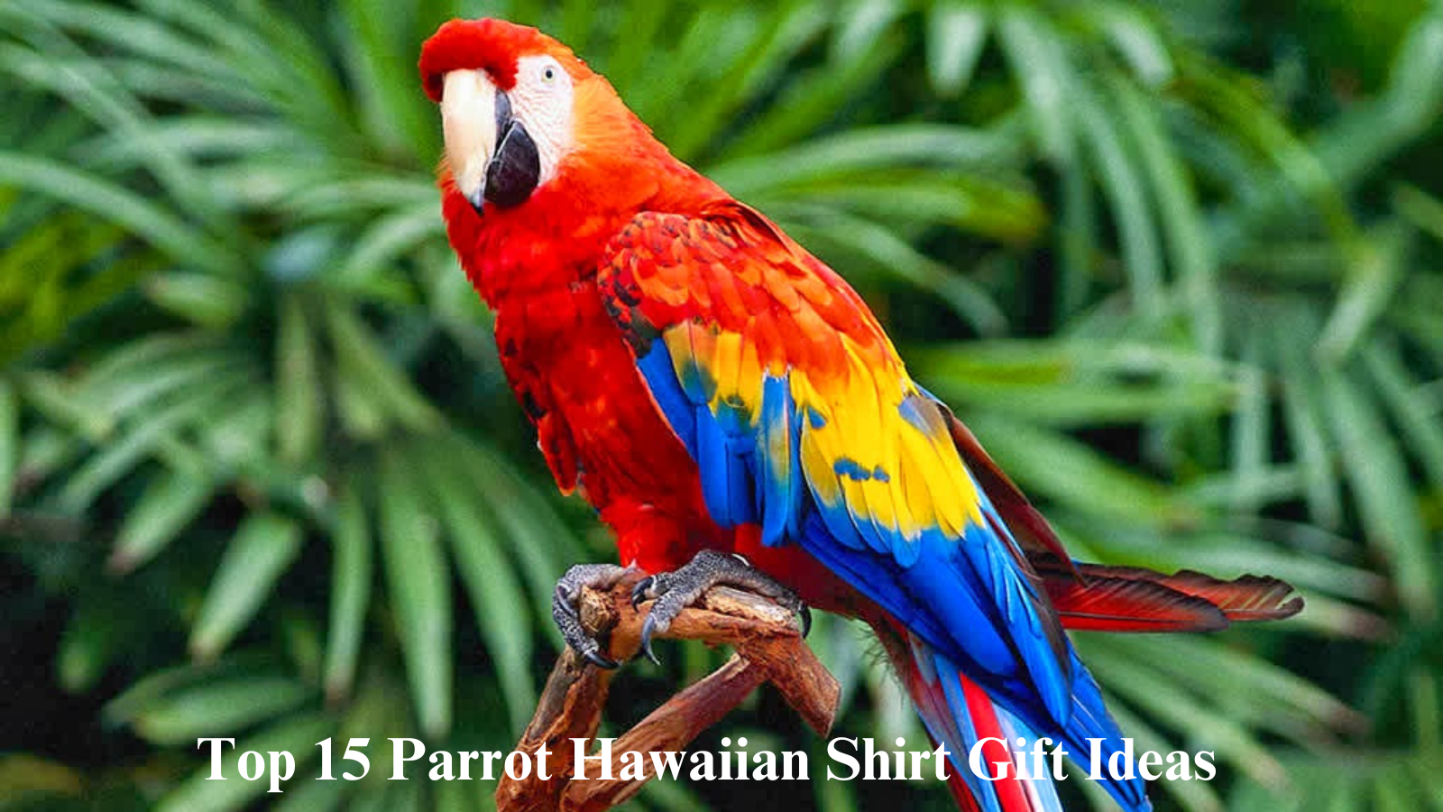 Top 15 Parrot Hawaiian Shirt Gift Ideas  